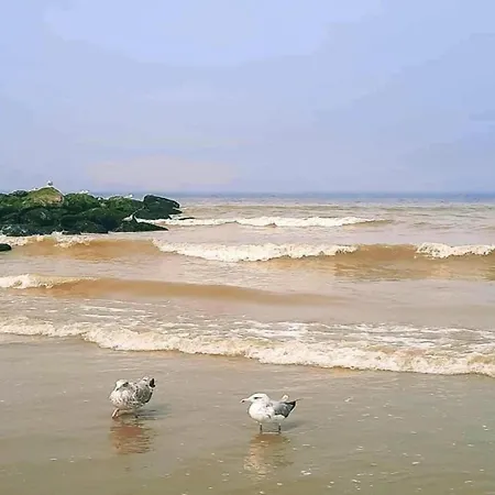 公寓 In Near Scenic *