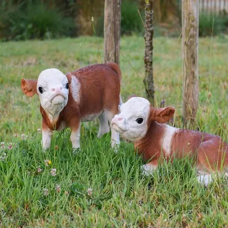 In Near Scenic 尼乌波特