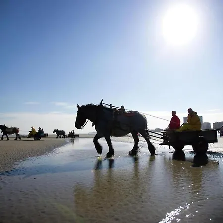 In Near Scenic 公寓 尼乌波特