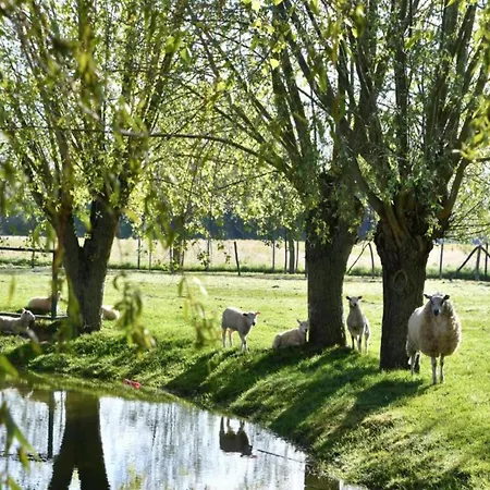 In Near Scenic 公寓