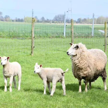 公寓 In Near Scenic 尼乌波特